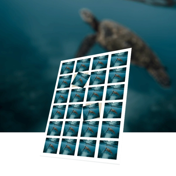Square Stickers